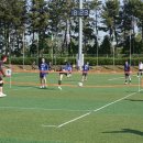 부강생활체육공원 이미지