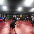 맥스체대입시학원 이미지