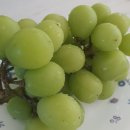 샤인광고 이미지