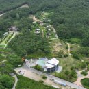 산동3호 이미지