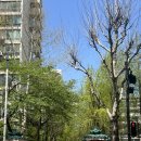 마산종합운동장 올림픽수영장 | 잠실종합운동장 수영장 다비이즈프리 '프리다이빙강습' 내돈내산 후기