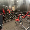 오리진 휘트니스 이미지