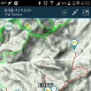 비파산성 Daum카페