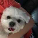 담양솔마루 | 24 6 ~ 9