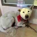 덕진-115 이미지