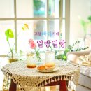 일랑이랑 네이버블로그