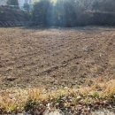 대곡면사무소 이미지