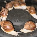 오금농장 이미지