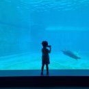 돌고래약품 이미지