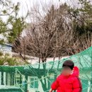 세움어린이집 놀이터 이미지