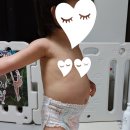 야옹아멍멍해봐 수원대융건릉점 | 낙엽이 춤을 추네!
