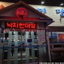한마당(생고기전문점) | [용봉동]낙지한마당, 신선하고 두툼한 산낙지 탕탕이