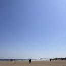 코랄로 바이 조선 이미지