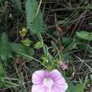 김병옥농장 이미지