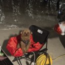 투포캠프 이미지