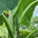 민이맘농장 이미지