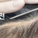 도트바이림 네이버블로그