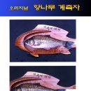 새로나레져