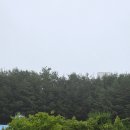 사천면사무소 | 강릉 와우파크 카라반 숙박정보 내돈내산 후기