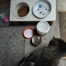 김비타약국 이미지