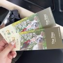 BABO글램핑 | 220618-19 1박2일 가평여행 ❤️‍🔥