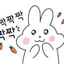 청솔동아약국 이미지