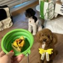 와우펜션3