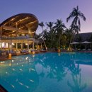 포할리데이 이미지