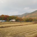 거제옥산숲 이미지