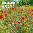 한솥도시락 문산당동점 | 파주 율곡수목원 입장료 무료 둘레길 구절초 단풍 주말 방문 후기