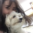 송담동물병원 네이버블로그