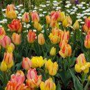 국가정원(동문) 이미지