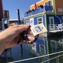 폭스PC CAFE | 캐나다 워킹홀리데이 D58_밴쿠버 근교 여행지 빅토리아