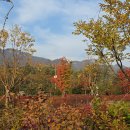 해걸음글램핑장 | 서울 내 글램핑장 추천 숙박 숯불 그릴 바베큐 가능 6번째 재방문한 우이동가족캠핑장