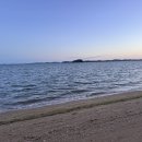 무안명가 | 전남 광주 근교 맛집 무안명가 낙지스페셜코스 감동적인 후기