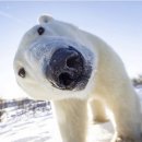 삼국지마라탕 | 막 디어 카이네 조어겐~