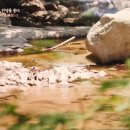 문경밥상 이미지