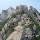 금 강  1 이미지