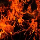 닥터모락(부천상동점) 이미지