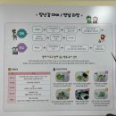 화도도서관 | [아기랑 가볼만한 곳_남양주]화도 장난감도서관 이용시간,대여방법,이용후기