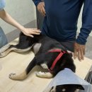 금주복집 이미지