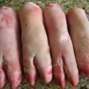 돼지발 이미지
