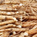 종삼농장 이미지