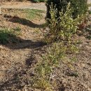 뽑기 좋은날 이미지