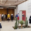 마레포스 이미지