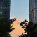 새서귀초교입구3가 3 | [육식주 종로3가점] 고기부터 된장술밥, 비빔냉면까지 맛있었던 종로 한옥 고기집