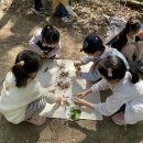 숲생태유치원 네이버블로그