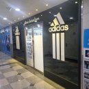 복싱프라자 이미지