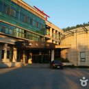 신라이사부독도참치 이미지