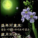 연세스타일치과의원 이미지